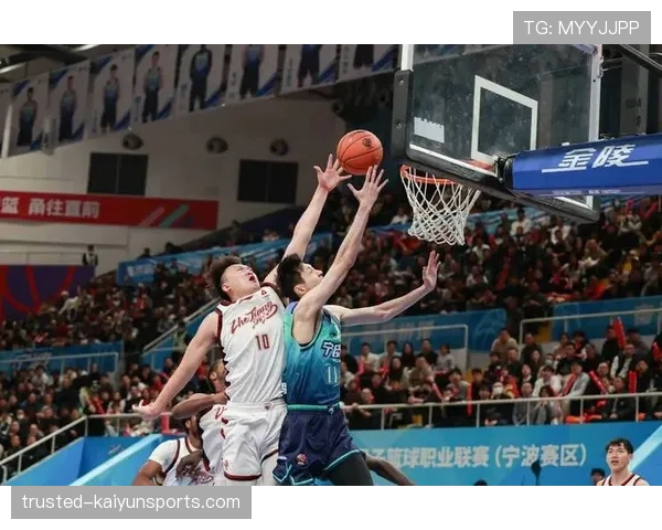 浙江稠州金租防守效率跻身前五 快速轮转体系制造大量抢断